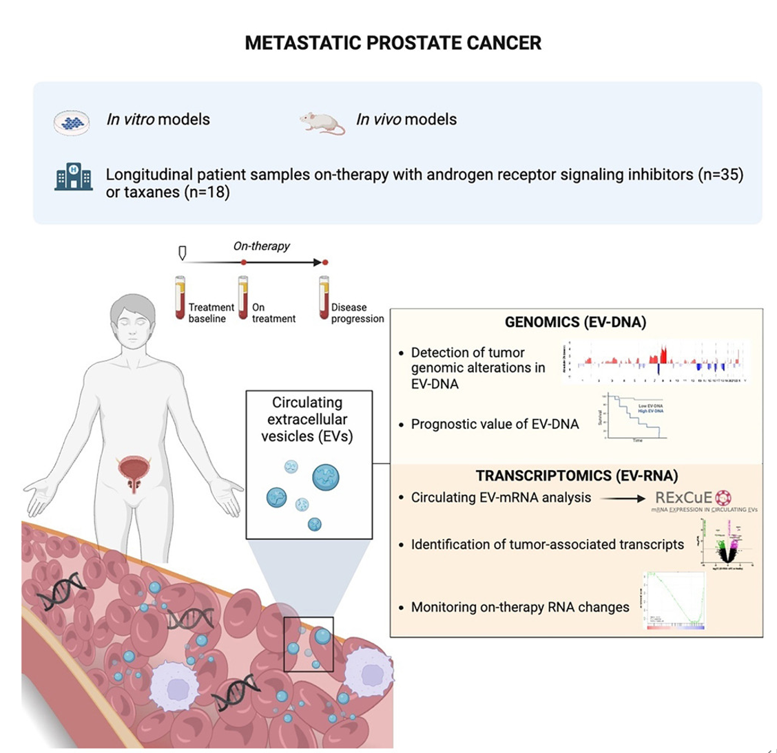 Cancer Cell丨循环肿瘤外泌体用于监测转移性前列腺癌基因组和转录组演变
