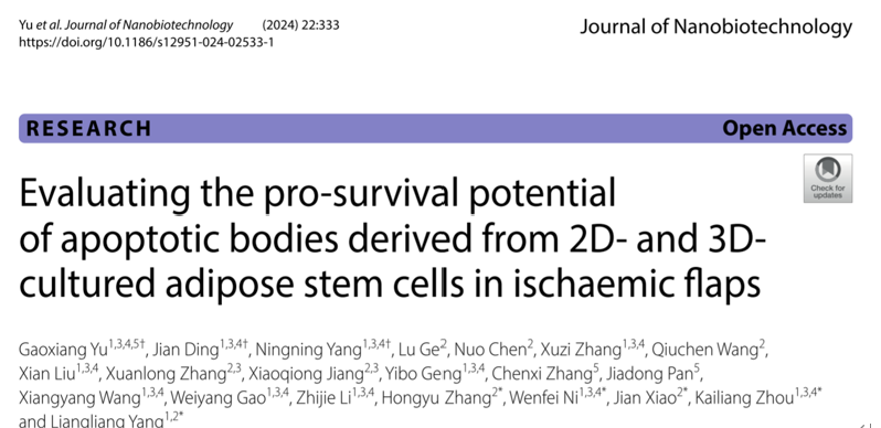 J Nanobiotechnology｜温州医科大学：评估3D培养脂肪干细胞衍生凋亡小体在缺血皮瓣修复中的潜力