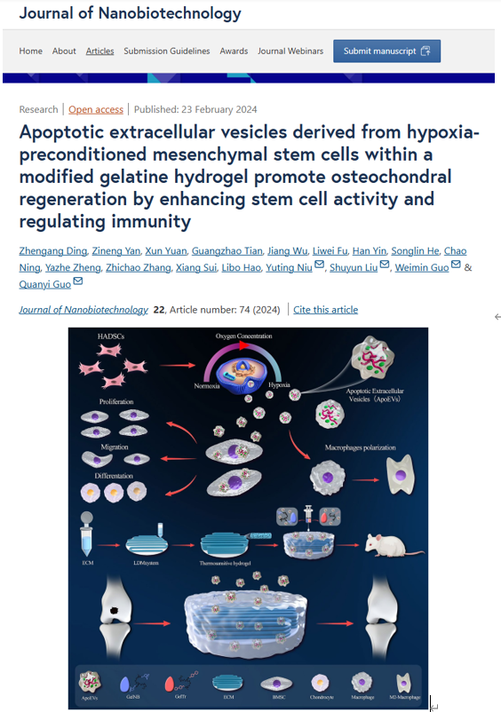 J Nanobiotechnology｜解放军总医院郭全义/中山附一院郭维民：低氧预处理MSCs 来源的凋亡囊泡促进骨软骨修复