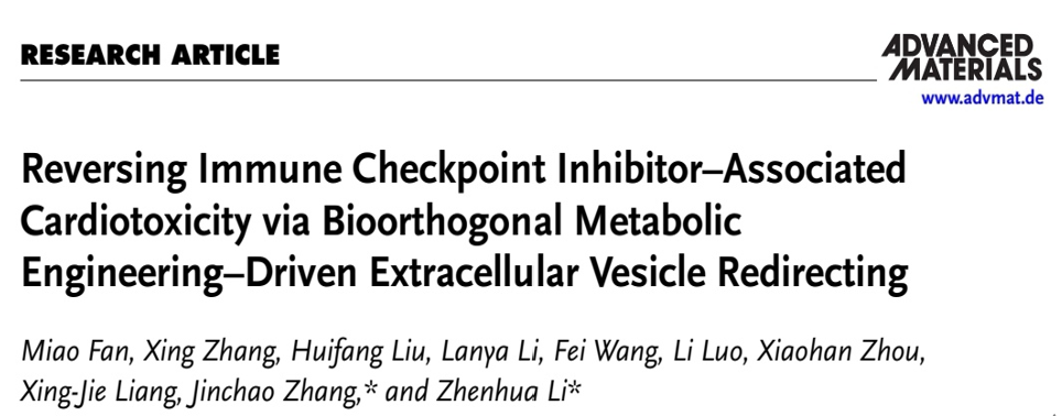 Adv Mater|南方医科大学李振华/河北大学张金超团队：生物正交代谢工程驱动肿瘤EV重定向逆转免疫检查点抑制剂引起的心脏毒性