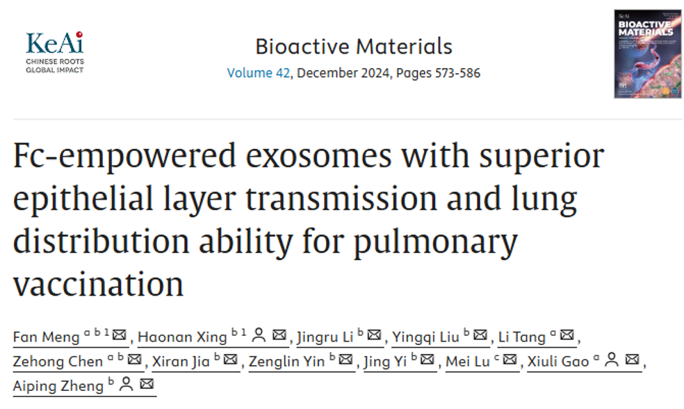 Bioact. Mater｜军事医学研究院郑爱萍：经Fc功能蛋白修饰的EV具有卓越肺上皮层穿透和肺部分布能力的肺部载体疫苗