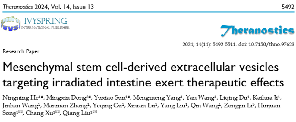 Theranostics｜中国医学科学院放射医学研究所刘强：揭示间充质干细胞来源的细胞外囊泡通过STAT3通路治疗放射性肠损伤