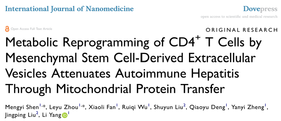 Int J Nanomedicine | 四川大学华西医院杨丽/刘敬平团队：干细胞来源EV通过代谢重编程T细胞治疗自身免疫性肝炎