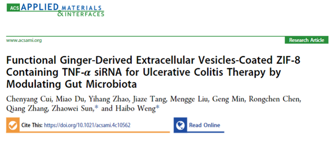 郑州大学翁海波/孙召伟团队：功能性姜源细胞外囊泡包被载有TNF-α siRNA的ZIF-8通过调节肠道微生物群治疗溃疡性结肠炎