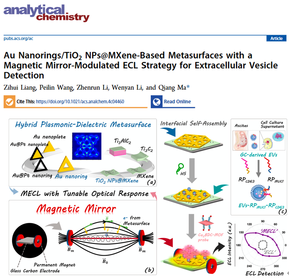 Anal Chem｜吉林大学马强教授课题组：基于金纳米环/二氧化钛纳米粒子混合超构表面和磁镜调控的ECL 策略用于细胞外囊泡检测