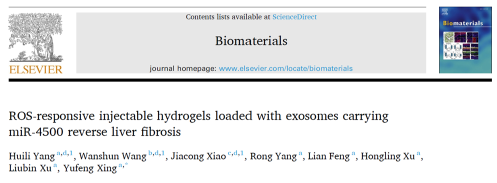 Biomaterials｜深圳市中医院邢宇锋教授团队：ROS响应性水凝胶负载miR-4500外泌体逆转肝纤维化