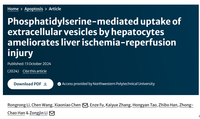 Apoptosis｜南开大学医学院李宗金/解放军总医院第三医学中心陈小鸟：肝细胞磷脂酰丝氨酸介导的EVs内化改善肝缺血再灌注损伤