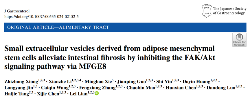 J Gastroenterol |中山大学附属六院练磊：AMSC-sEVs通过MFGE8抑制FAK/Akt信号通路来缓解肠纤维化