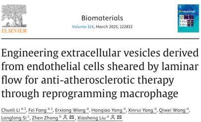 Biomaterials｜四川大学刘肖珩/西南交通大学张震：层流剪切力加载下内皮细胞源EV通过重编程巨噬细胞表型治疗动脉粥样硬化