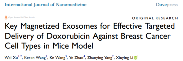 Int J Nanomedicine｜吉林大学白求恩第三医院李秀英/杨昭颖：磁化外泌体作为关键载体靶向递送阿霉素治疗小鼠乳腺癌