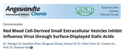 ANGEW CHEM INT EDIT｜厦门大学化学化工学院颜晓梅团队：红细胞来源的小细胞外囊泡通过表面展示的唾液酸抑制流感病毒