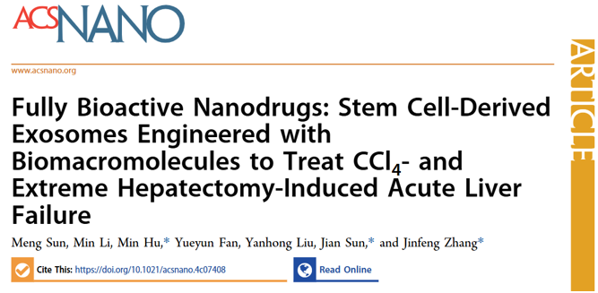 ACS Nano｜北京理工大学张金凤/暨南大学一附院胡敏：工程化干细胞衍生外泌体用于CCL4和极量肝切除术诱导的急性肝衰竭治疗