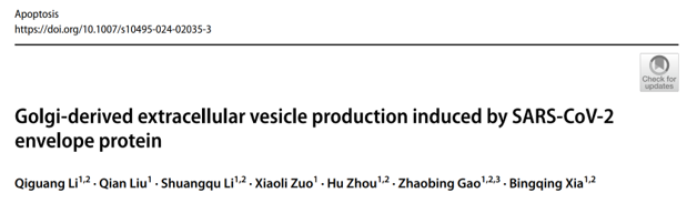 Apotosis｜中国科学院上海药物研究所：发现一种高尔基体起源的新型胞外囊泡