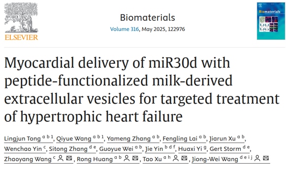 Biomaterials | 新加坡国立大学王炯伟教授/山一医徐涛院士团队仝令君副教授：工程化乳源外泌体负载核酸治疗肥大性心衰