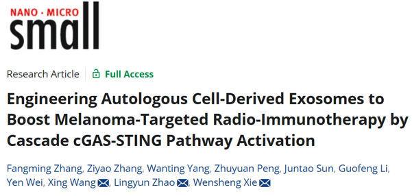 Small | 北京化工大学谢文升/王兴/清华大学赵凌云：工程化自体外泌体纳米激动剂强化黑色素瘤放疗免疫治疗