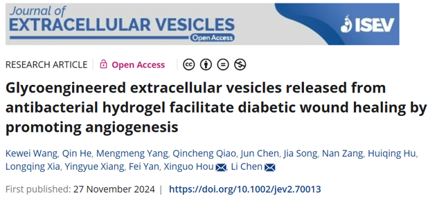 JEV｜齐鲁医院陈丽/侯新国教授团队：抗菌水凝胶释放的糖工程化胞外囊泡通过促进血管生成促进糖尿病伤口愈合