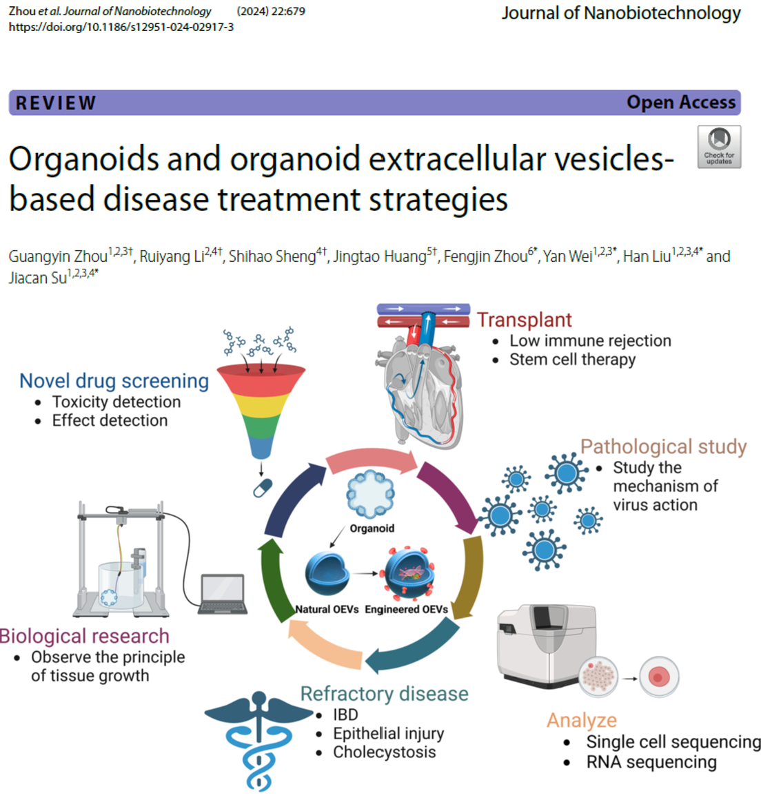 Journal of Nanobiotechnology︱苏佳灿/刘晗/魏彦/周凤金：基于类器官和类器官细胞外囊泡的新型治疗方法