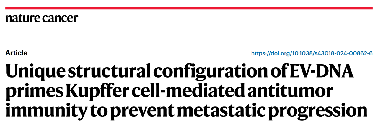 【Nature Cancer】EV-DNA促进抗肿瘤免疫抑制癌症转移进展