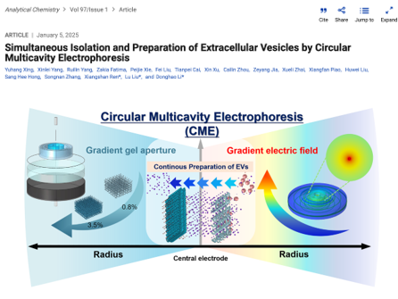 Analytical Chemistry｜延边大学李东浩教授课题组：靶型多腔电泳同时分离与制备细胞外囊泡