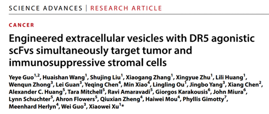 【Sci Adv】靶向DR5的工程化NK-EVs发挥抗肿瘤效果