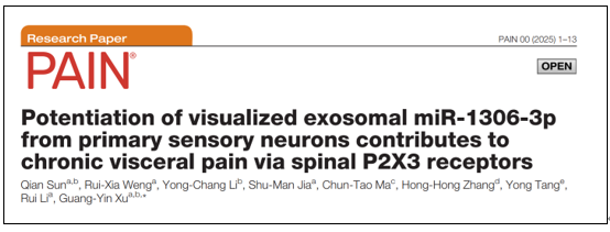 PAIN | 苏州大学徐广银/苏州大学附属第一医院李锐：初级感觉神经元中可视化外泌体miR-1306-3p的增强促进慢性内脏疼痛