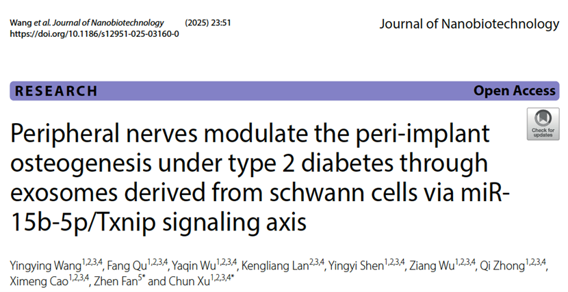 J Nanobiotechnology｜2型糖尿病状态下周围神经通过来自施旺细胞的外泌体调节种植体周围骨代谢