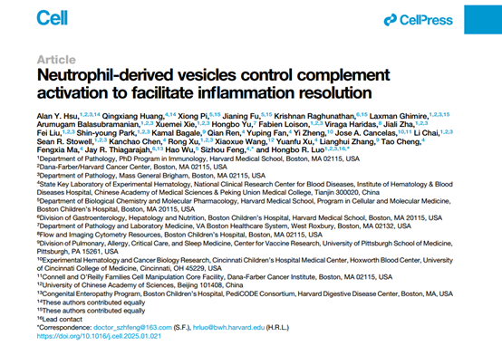 【Cell】中性粒细胞衍生的囊泡抑制补体激活发挥抗炎作用