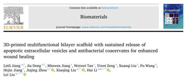 Biomaterials|四川大学刘磊/周加境/李蕙/刘晓静：脂肪组织来源凋亡囊泡联合凝聚体，促进感染创面高效愈合