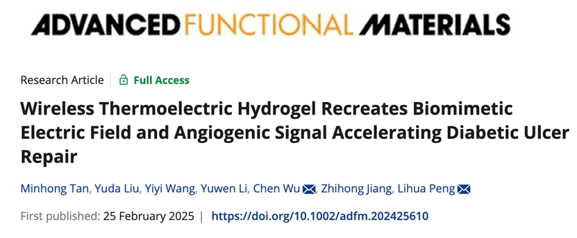 Adv Funct Mater|浙江大学彭丽华团队：可穿戴的智能热电人参外泌体敷料高效促进难愈性溃疡局部肉芽组织的新生与修复重建